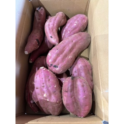 【訳あり】「行方かんしょ」さつまいも約5kg・C品(洗い・不揃い)