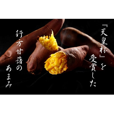 「行方かんしょとれんこんのカレー」18箱・「パックご飯」「パック赤飯」各9個セット