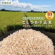 【栽培期間農薬不使用】こしひかり玄米10kg