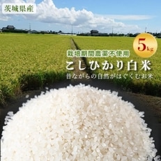【栽培期間農薬不使用】こしひかり白米5kg