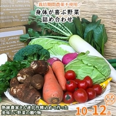 栽培期間農薬不使用『身体が喜ぶ野菜』(おまかせ10～12品)