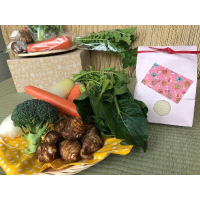 【栽培期間農薬不使用】 白米2kgと季節の野菜(おまかせ4~5品)