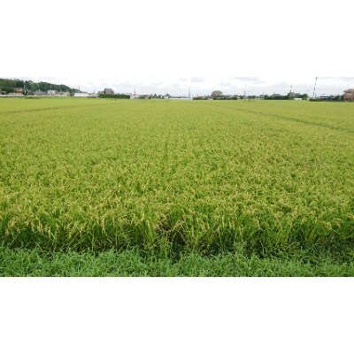【栽培期間農薬不使用】 白米2kgと季節の野菜(おまかせ4~5品)