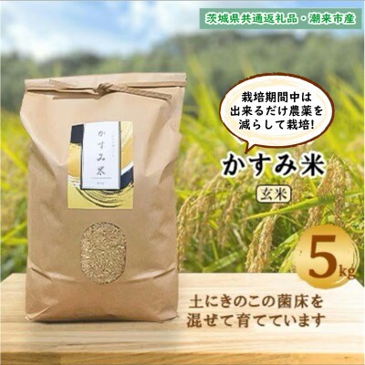令和7年産新米 栽培期間中出来るだけ農薬を減らして作るかすみ米 玄米5kg茨城県共通返礼品・潮来産