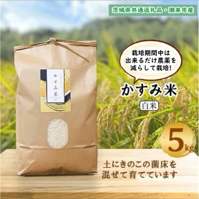 令和7年産新米 栽培期間中出来るだけ農薬を減らして作るかすみ米 白米5kg茨城県共通返礼品・潮来市産