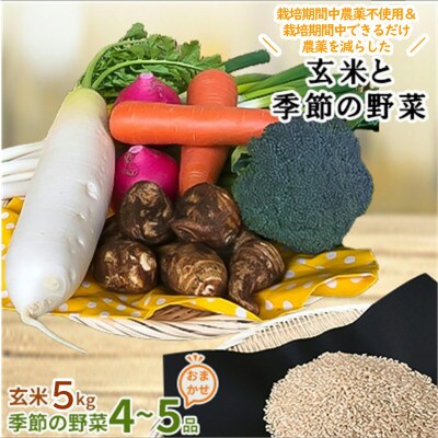 【身体が喜ぶ野菜とお米】こしひかり玄米5kgと季節の野菜(おまかせ4～5品)