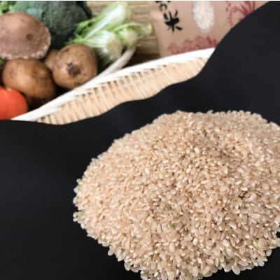 【身体が喜ぶ野菜とお米】こしひかり玄米5kgと季節の野菜(おまかせ4～5品)