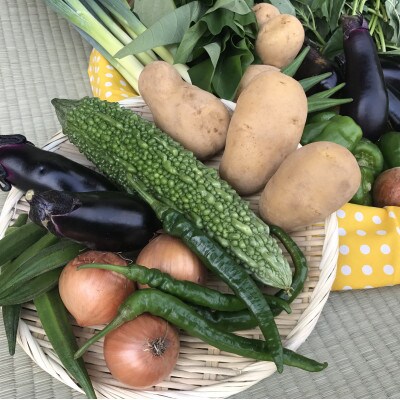 【発送月固定定期便】【ハーフサイズ】『身体が喜ぶ野菜』詰め合わせ全10回