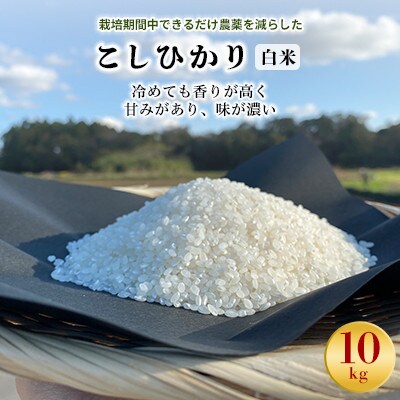 【毎月定期便】【栽培期間中できるだけ農薬を減らした】こしひかり白米10kg全3回