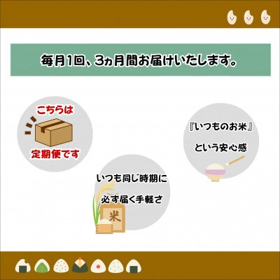 【毎月定期便】【栽培期間中できるだけ農薬を減らした】こしひかり白米10kg全3回