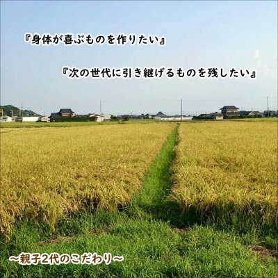 【毎月定期便】【栽培期間中農薬不使用】こしひかり白米10kg全6回