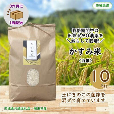【3ヵ月毎定期便】栽培期間中出来るだけ農薬を減らしたかすみ米白米10kg茨城県共通返礼品潮来産全3回