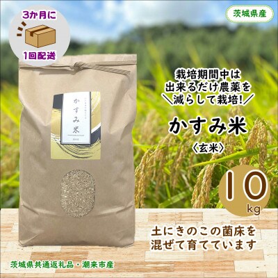 【3ヵ月毎定期便】栽培期間中出来るだけ農薬を減らしたかすみ米玄米10kg茨城県共通返礼品潮来産全3回