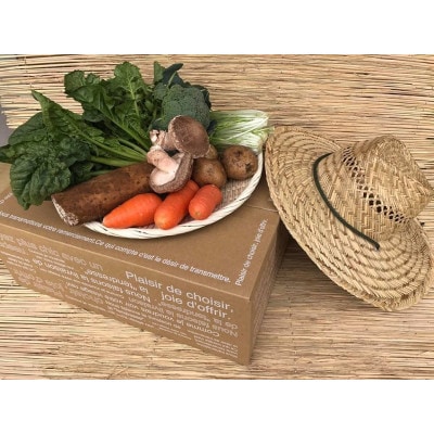 【発送月固定定期便】【ハーフサイズ】栽培期間中農薬不使用『身体が喜ぶ野菜』詰め合わせ全10回