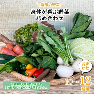 【発送月固定定期便】【下旬発送】『身体が喜ぶ野菜』季節の詰め合わせ(おまかせ10～12品)全10回