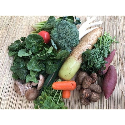 【発送月固定定期便】【上旬発送】『身体が喜ぶ野菜』季節の詰め合わせ(おまかせ10～12品)全10回