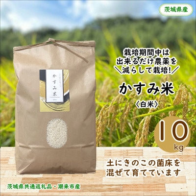 【毎月定期便】栽培期間中出来るだけ農薬を減らしたかすみ米 白米10kg茨城県共通返礼品潮来産全12回