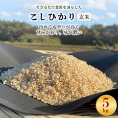 2023年5月発送開始『定期便』【栽培期間できるだけ農薬を減らした】こしひかり玄米5kg全3回