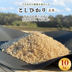 2023年5月発送開始『定期便』【栽培期間できるだけ農薬を減らした】こしひかり玄米10kg全3回