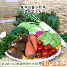 2023年5月発送開始『定期便』栽培期間農薬不使用『身体が喜ぶ野菜』3・4月は白米全6回