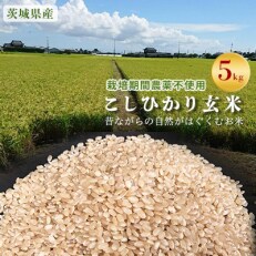 2023年5月発送開始『定期便』【栽培期間農薬不使用】こしひかり玄米5kg全12回