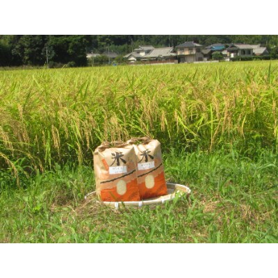 令和5年産　ミルキークイーン10kg(5kg入×2袋)