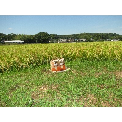 令和5年産　ミルキークイーン10kg(5kg入×2袋)