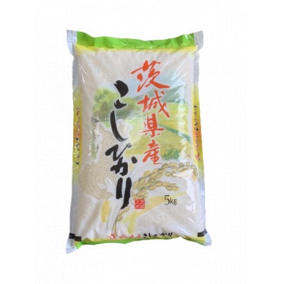 茨城県行方市　コシヒカリ5kg、ミルキークイーン5kg　食べ比べセット