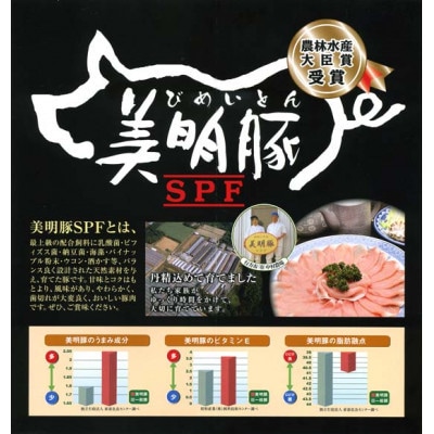 【美明豚　びめいとん】豚肉みそ漬(150g×10枚)