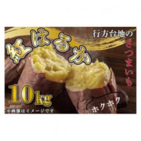 【先行受付】【訳あり】無選別 行方台地のさつまいも 紅はるか10kg CU-55