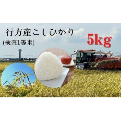 行方産こしひかり5kg(検査1等米)　CU-30