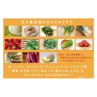 野菜王国なめがたの旬野菜便(さつまいも入り)CU-131