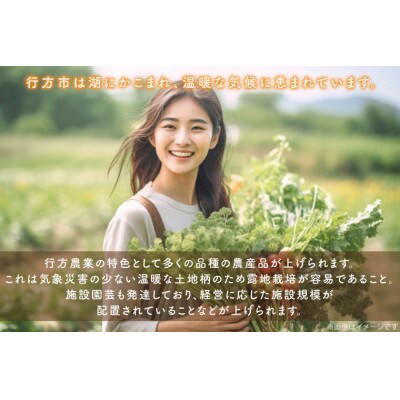 野菜王国なめがたの旬野菜便(米入り)CU-135