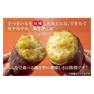 【収穫体験】10月13日(金)さつまいも堀り体験チケット(1組4名) CU-143-1