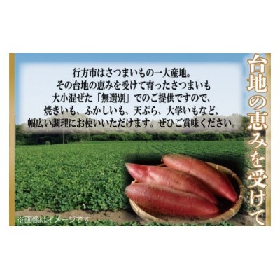 【先行受付】【訳あり】無選別 行方台地のさつまいも 紅はるか15kg CU-167