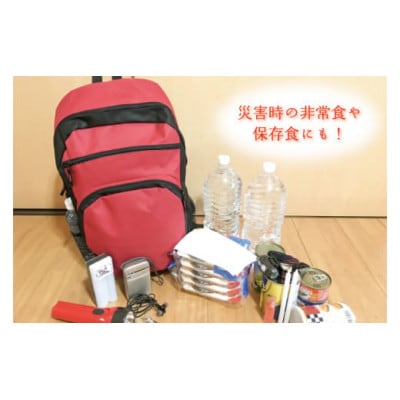 【訳あり】茨城県行方市産あきたこまち使用 パックごはん 200g×24個　CU-81