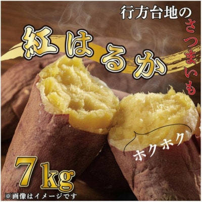 令和8年度産　訳あり・無選別　行方台地のさつまいも　紅はるか約7kg　CU-55-7