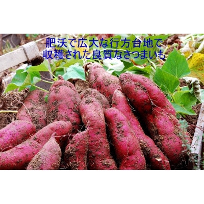 訳あり!紅はるか冷凍焼き芋 約1.7kg