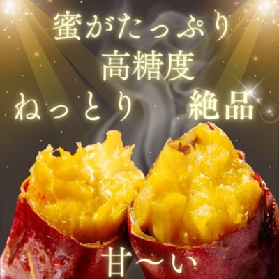 紅はるか冷凍焼き芋S～Mサイズ約2.8kg+おすすめ別品種冷凍焼芋200g(合計約3kg)