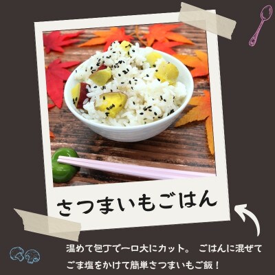 【毎月定期便】冷凍焼き芋紅はるかM～L1.8kg+おすすめ別品種200g全3回