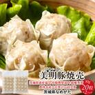 美明豚「びめいとん」のジューシー焼売 20個×2袋