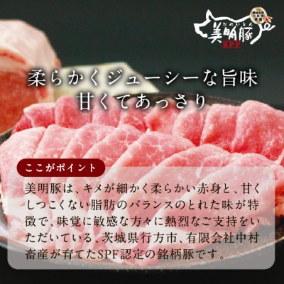 新生活応援・期間限定　美明豚「びめいとん」のジューシー焼売 20個×1袋