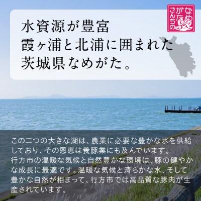 新生活応援・期間限定　美明豚「びめいとん」のジューシー焼売 20個×1袋