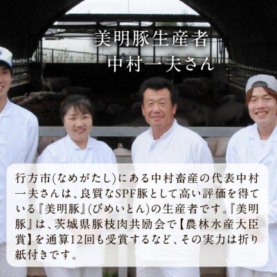 【新生活応援・期間限定】美明豚「びめいとん」のジューシー餃子 30個×1袋