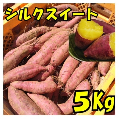 さつまいも(シルクスイート)5kg