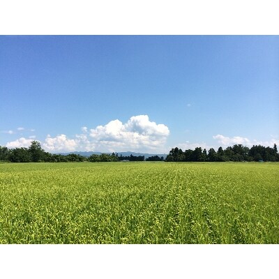 飯豊米　つや姫　白米10kg　(令和3年産)