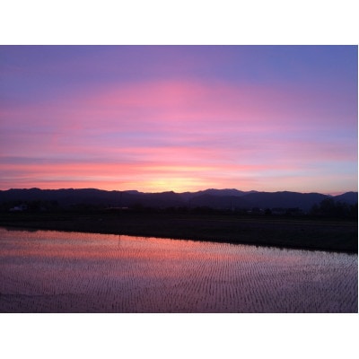 【先行予約】飯豊米 はえぬき 玄米 30kg×1袋(令和8年産)