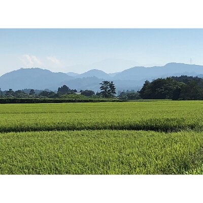 つや姫　20kg(令和3年産)