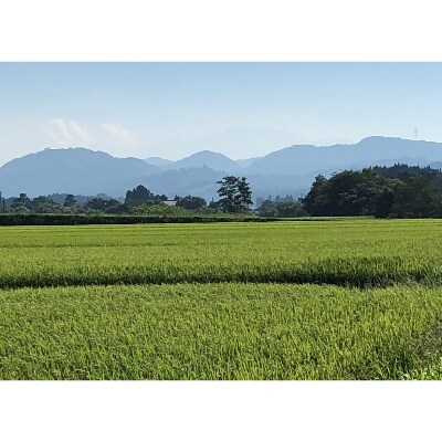 つや姫　30kg(令和3年産)