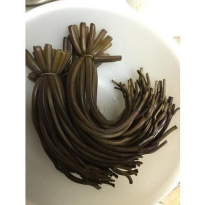 わらび (塩蔵) 1kg
